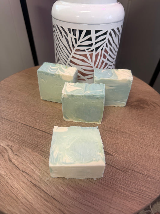 Caribbean Teakwood Soap Bar